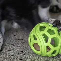 Euro Joe Dog Comets Titan Groen M 11,5 Cm 7 Euro Joe Dog Comets Titan Groen M 11,5 Cm -Euro Joe STORE 135885