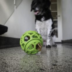 Euro Joe Dog Comets Titan Groen M 11,5 Cm 3 Euro Joe Dog Comets Titan Groen M 11,5 Cm -Euro Joe STORE 135886