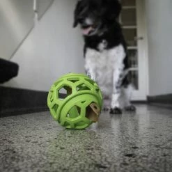 Euro Joe Dog Comets Titan Groen M 11,5 Cm 8 Euro Joe Dog Comets Titan Groen M 11,5 Cm -Euro Joe STORE 135886