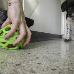 Euro Joe Dog Comets Titan Groen M 11,5 Cm 9 Euro Joe Dog Comets Titan Groen M 11,5 Cm -Euro Joe STORE 135887