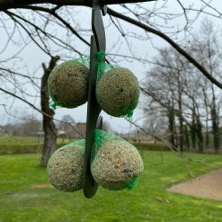 Euro Joe Voerstation Met 4 Mezenbolletjes -Euro Joe STORE 258730