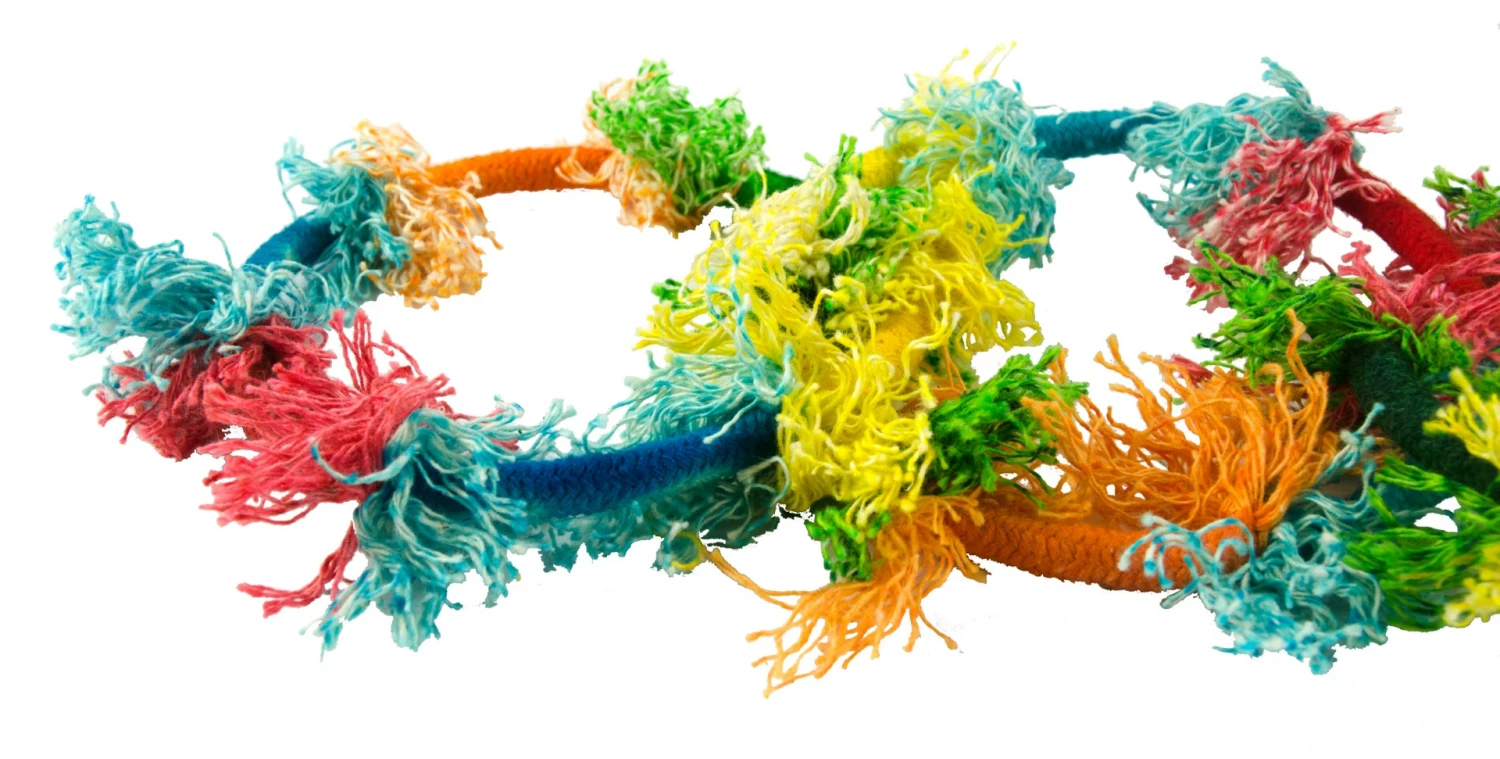 Euro Joe Birrdeeez Sekelbos Olympic Ring RT8 2 Euro Joe Birrdeeez Sekelbos Olympic Ring RT8 - Image 2