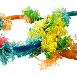 Euro Joe Birrdeeez Sekelbos Olympic Ring RT8