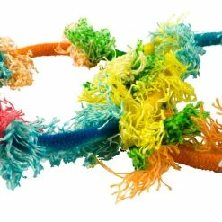 Euro Joe Birrdeeez Sekelbos Olympic Ring RT8