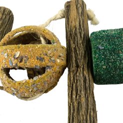 Euro Joe Birrdeeez Double Circus Ball & Sekelbos Toy -Euro Joe STORE 261992