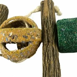 Euro Joe Birrdeeez Double Circus Ball & Sekelbos Toy -Euro Joe STORE 261992