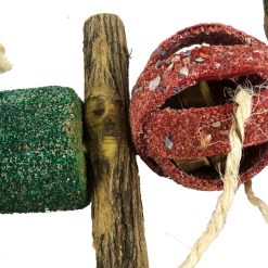 Euro Joe Birrdeeez Double Circus Ball & Sekelbos Toy -Euro Joe STORE 261993