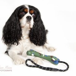 Euro Joe Hunting Dog The Bone 17cm