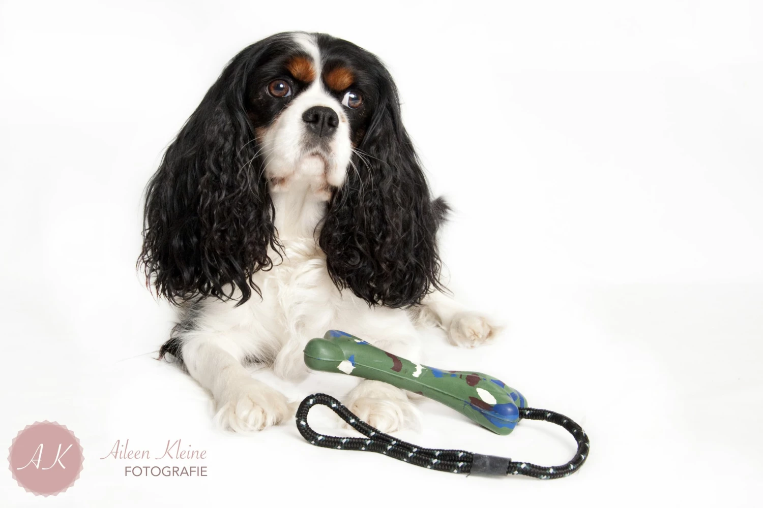 Euro Joe Hunting Dog The Bone 17cm 1 Euro Joe Hunting Dog The Bone 17cm