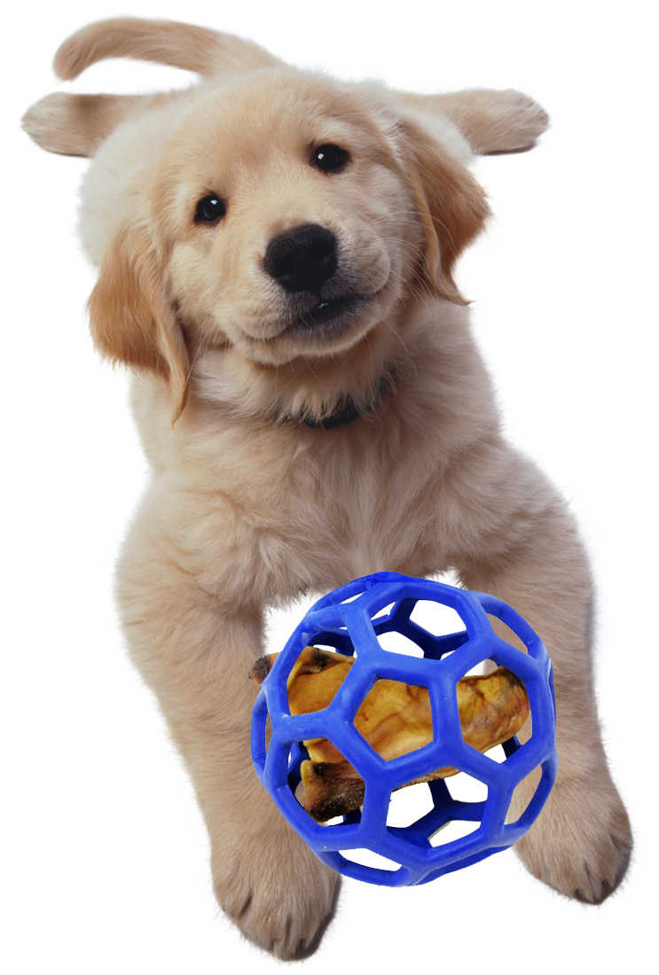 JW HOL-EE ROLLER S 9 cm Euro Joe JW HOL-EE ROLLER S 9 Cm -Euro Joe STORE 264027