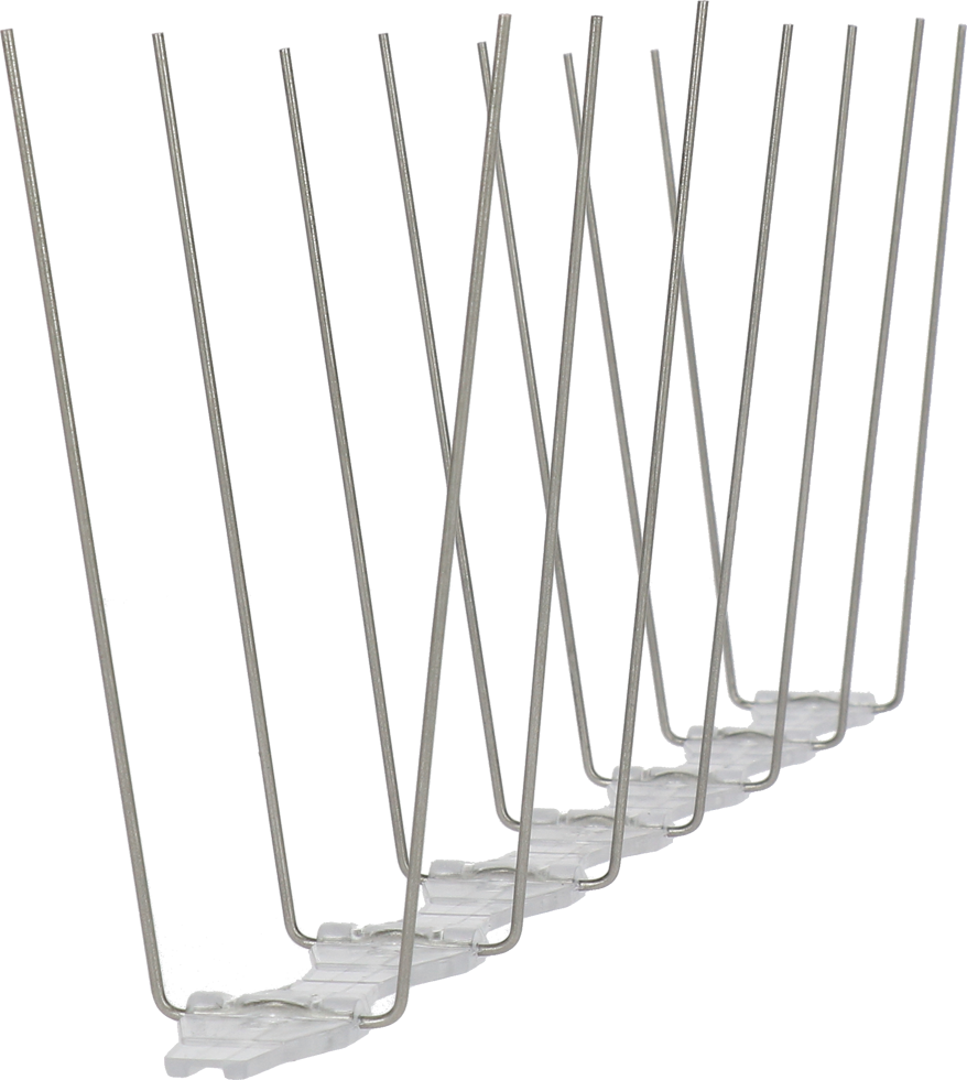 Avipoint Vogelpinnen Duiven P14 70 pinnen Euro Joe Avipoint Vogelpinnen Duiven P14 70 Pinnen -Euro Joe STORE 266095 1