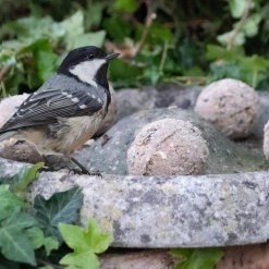 Euro Joe Feather World Zaden Mezenbol Incl. Net (groen) -Euro Joe STORE 269541