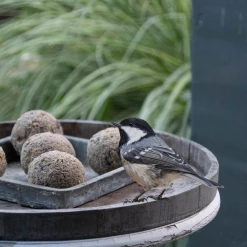 Euro Joe Feather World Insecten Mezenbol Zonder Net