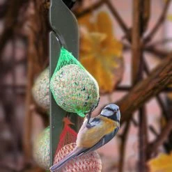 Euro Joe Feather World Zaden Mezenbol Incl. Net (groen) -Euro Joe STORE 269580 scaled