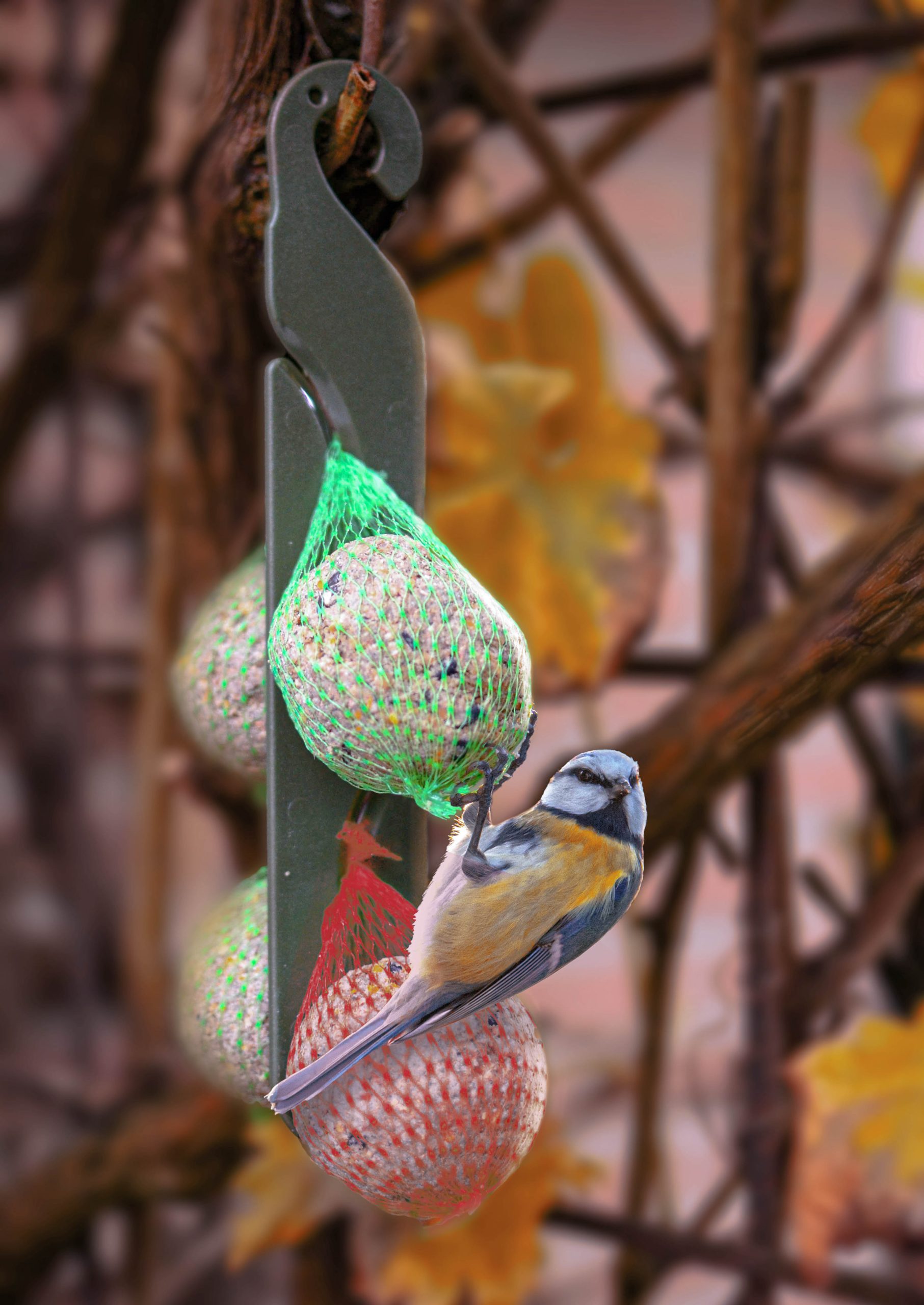 Feather World zaden mezenbol zonder net Euro Joe Feather World Zaden Mezenbol Zonder Net -Euro Joe STORE 269582 scaled