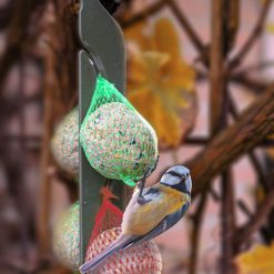 Euro Joe Feather World Insecten Mezenbol Zonder Net 4 Euro Joe Feather World Insecten Mezenbol Zonder Net -Euro Joe STORE 269584 scaled