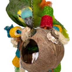 Euro Joe Feather World Kakamora -Euro Joe STORE 275724