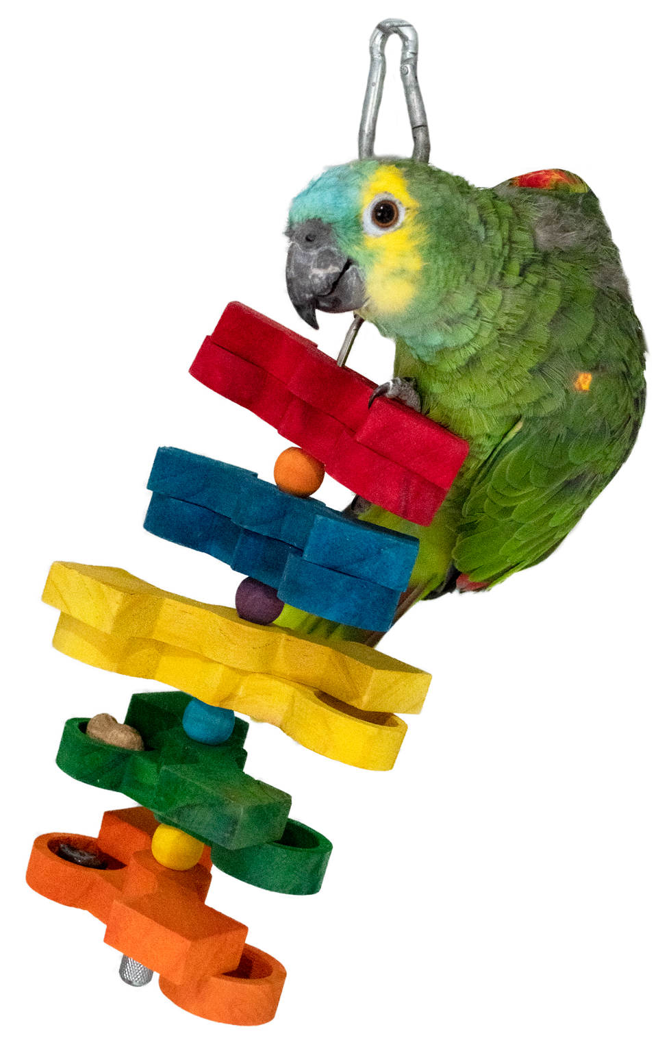 Feather World Puzzle & treat Euro Joe Feather World Puzzle & Treat -Euro Joe STORE 275725