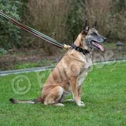 Euro Joe Black-Neon Leash Without Handle 10 Euro Joe Black-Neon Leash Without Handle -Euro Joe STORE Black neon 03