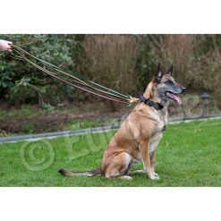 Euro Joe Black-Neon Leash With Handle -Euro Joe STORE Black neon 04