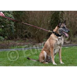 Euro Joe Black-Neon Leash With Handle -Euro Joe STORE Black neon 05