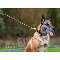 Euro Joe Black-Neon Leash With Handle -Euro Joe STORE Black neon 07 1