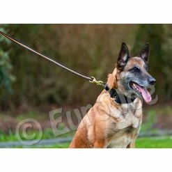 Euro Joe Black-Neon Leash Without Handle 18 Euro Joe Black-Neon Leash Without Handle -Euro Joe STORE Black neon 07