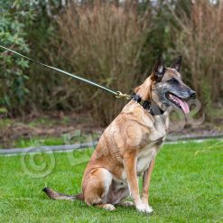 Euro Joe Black-Neon Leash Without Handle 5 Euro Joe Black-Neon Leash Without Handle -Euro Joe STORE Black neon 09