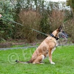 Euro Joe Black-Neon Leash With Handle -Euro Joe STORE Black neon 11