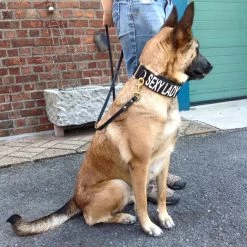 Euro Joe E-protect Collar Extra Velcro -Euro Joe STORE Eprotect5