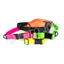 Euro Joe Collar "Sporty"