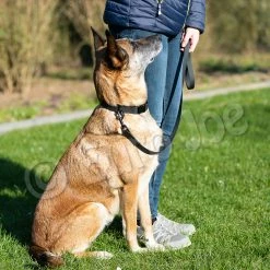 Euro Joe Line "Sporty" Without Handle 20 Mm 32 Euro Joe Line "Sporty" Without Handle 20 Mm -Euro Joe STORE Honey black 09 1