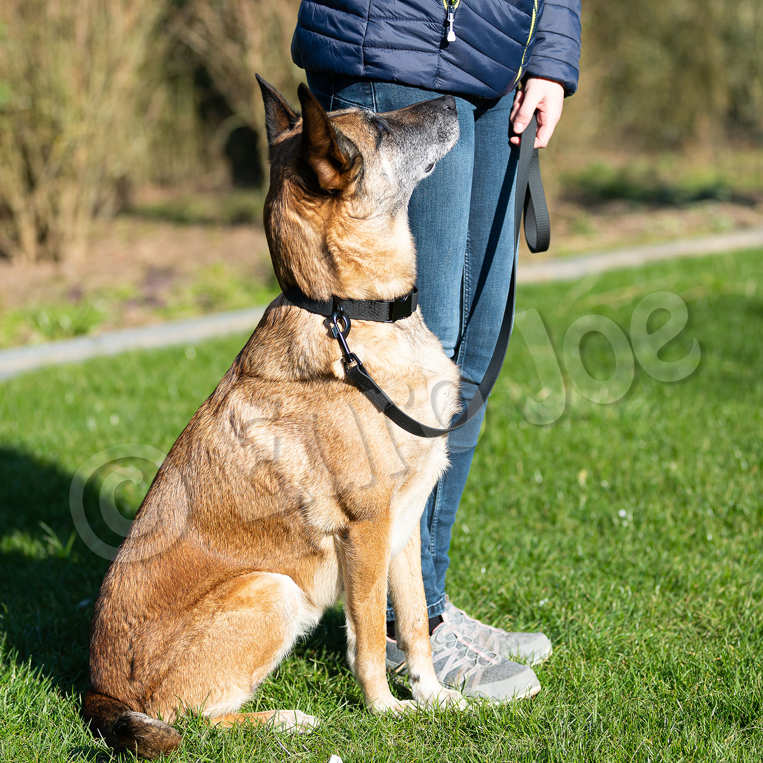 Line "Sporty" without handle 20 mm Euro Joe Line "Sporty" Without Handle 20 Mm -Euro Joe STORE Honey black 09 1