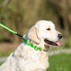 Euro Joe Line "Sporty" With Handle 20 Mm -Euro Joe STORE Honey green 11