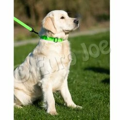 Euro Joe Line "Sporty" Without Handle 20 Mm 30 Euro Joe Line "Sporty" Without Handle 20 Mm -Euro Joe STORE Honey green 12 1