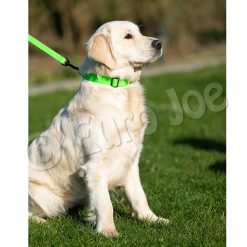 Euro Joe Line "Sporty" With Handle 20 Mm -Euro Joe STORE Honey green 12