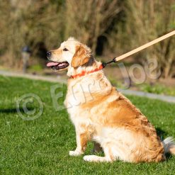 Euro Joe Line "Sporty" Without Handle 20 Mm 4 Euro Joe Line "Sporty" Without Handle 20 Mm -Euro Joe STORE Honey orange 07 1