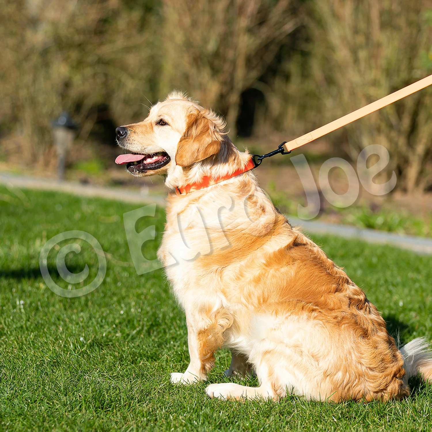 Euro Joe Line "Sporty" Without Handle 20 Mm 5 Euro Joe Line "Sporty" Without Handle 20 Mm - Image 5