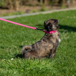 Euro Joe Collar "Sporty" -Euro Joe STORE Honey pink 09 2