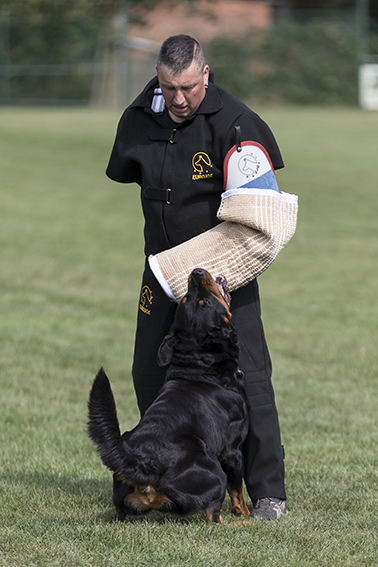 Leather IPO Vest "Active" Euro Joe Leather IPO Vest "Active" -Euro Joe STORE IPO kostuum leer 2 van 2 1