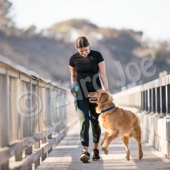 Euro Joe PD ORBEE-TUFF Planet Ball Blue/Green-S Ø5,5cm -Euro Joe STORE PD68667 68 69M Orbee Planet Ball Blue Green LS 11 1