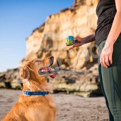 Euro Joe PD ORBEE-TUFF Planet Ball Blue/Green-S Ø5,5cm -Euro Joe STORE PD68667 68 69M Orbee Planet Ball Blue Green LS 5 1