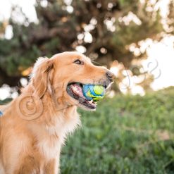 Euro Joe PD ORBEE-TUFF Planet Ball Blue/Green-S Ø5,5cm -Euro Joe STORE PD68667 68 69M Orbee Planet Ball Blue Green LS 8 1