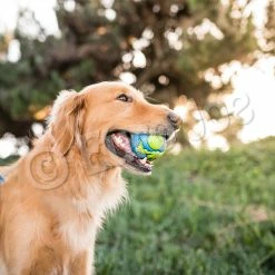 Euro Joe PD ORBEE-TUFF Planet Ball Blue/Green-S Ø5,5cm -Euro Joe STORE PD68667 68 69M Orbee Planet Ball Blue Green LS 8 1