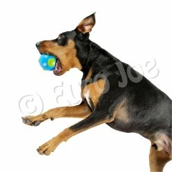 Euro Joe PD ORBEE-TUFF Planet Ball Blue/Green-M Ø7,5cm -Euro Joe STORE PD68667 68 69M Orbee Planet Ball Blue green Dog 1 2