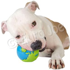 Euro Joe PD ORBEE-TUFF Planet Ball Blue/Green-S Ø5,5cm -Euro Joe STORE PD68667 68 69M Orbee Planet Ball Blue green Dog 2 1