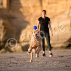 Euro Joe PD ORBEE-TUFF Planet Ball Royal Blue-M Ø7,5cm -Euro Joe STORE PD68676 77 78M Orbee Planet Ball Royal Blue LS 1 1