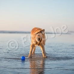 Euro Joe PD ORBEE-TUFF Planet Ball Royal Blue-L Ø10cm -Euro Joe STORE PD68676 77 78M Orbee Planet Ball Royal Blue LS 4 3