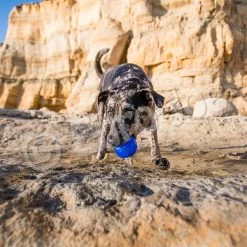 Euro Joe PD ORBEE-TUFF Planet Ball Royal Blue-S Ø5,5cm -Euro Joe STORE PD68676 77 78M Orbee Planet Ball Royal Blue LS 6