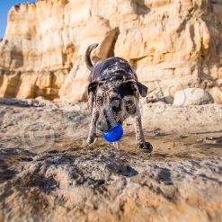 Euro Joe PD ORBEE-TUFF Planet Ball Royal Blue-L Ø10cm -Euro Joe STORE PD68676 77 78M Orbee Planet Ball Royal Blue LS 6 3